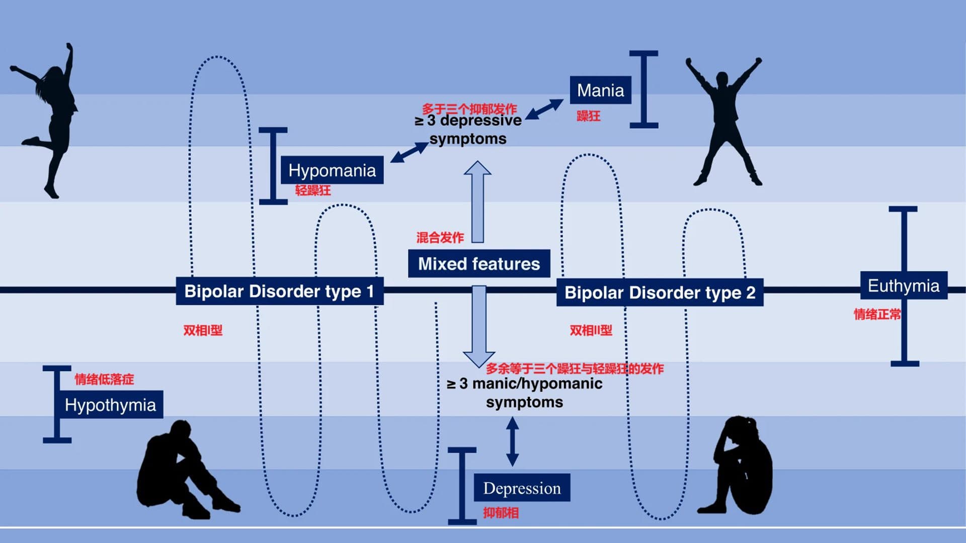 双相情感障碍：临床表现、病理生理、治疗策略与前沿进展的系统性研究