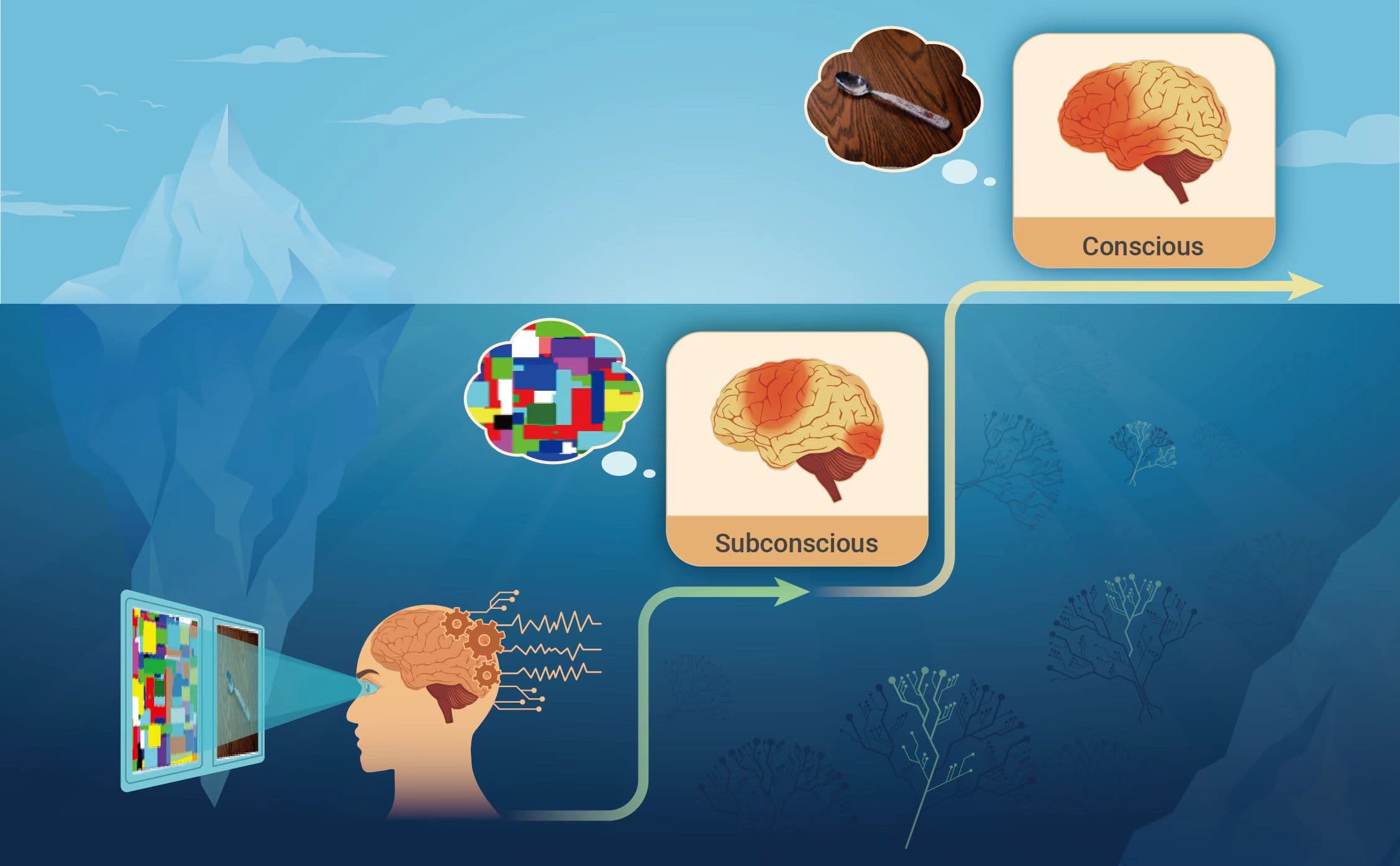 意识的定义与神经系统发育的关系by grok3