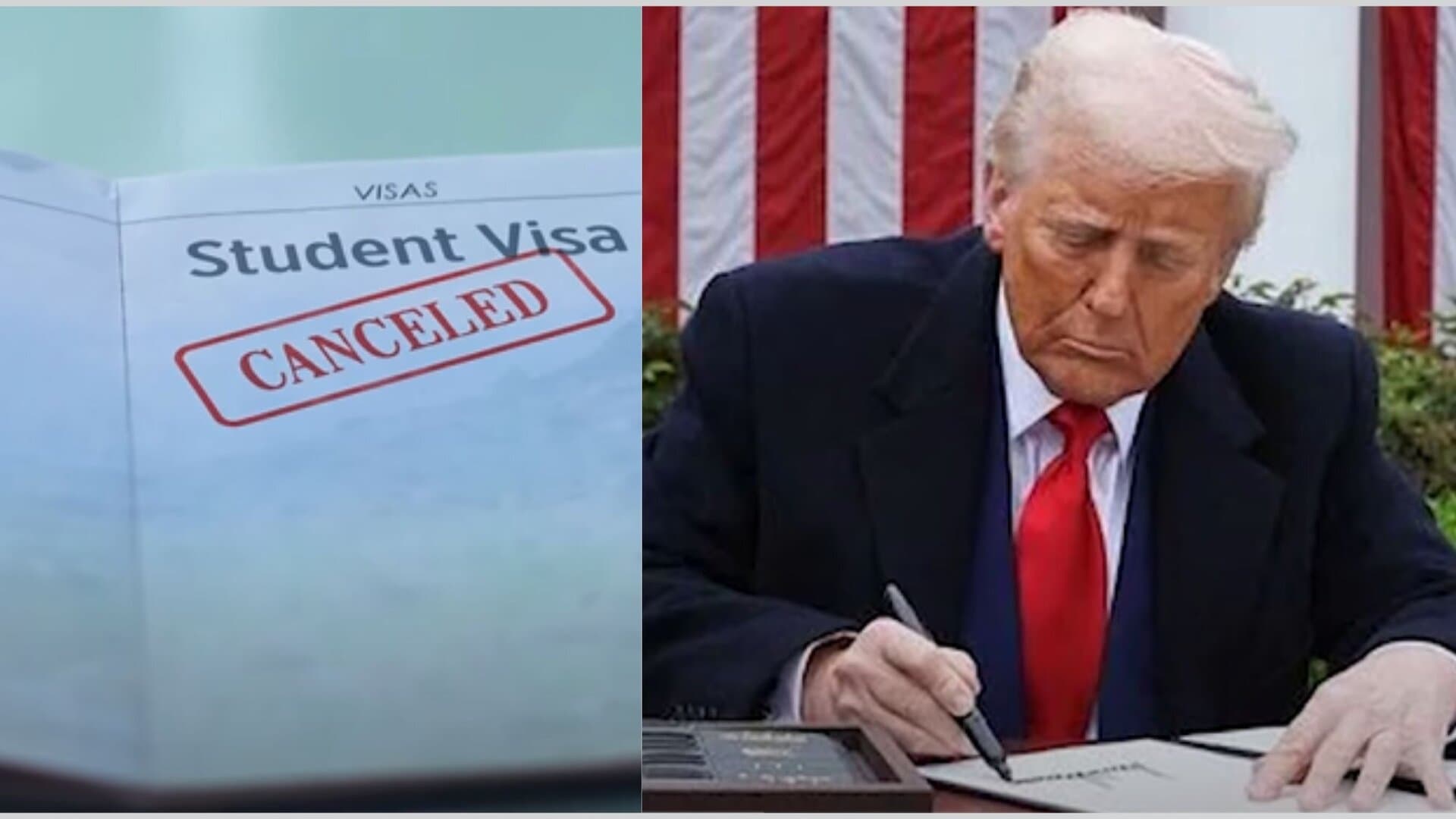 students-visa-revoked.jpg