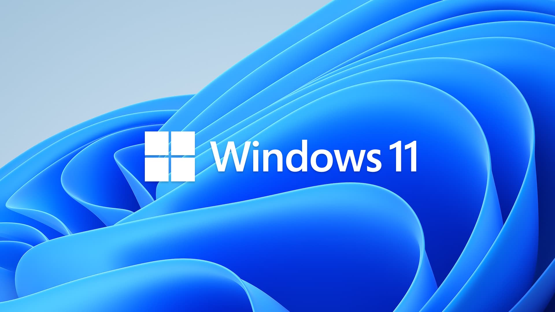windows11wallpaper