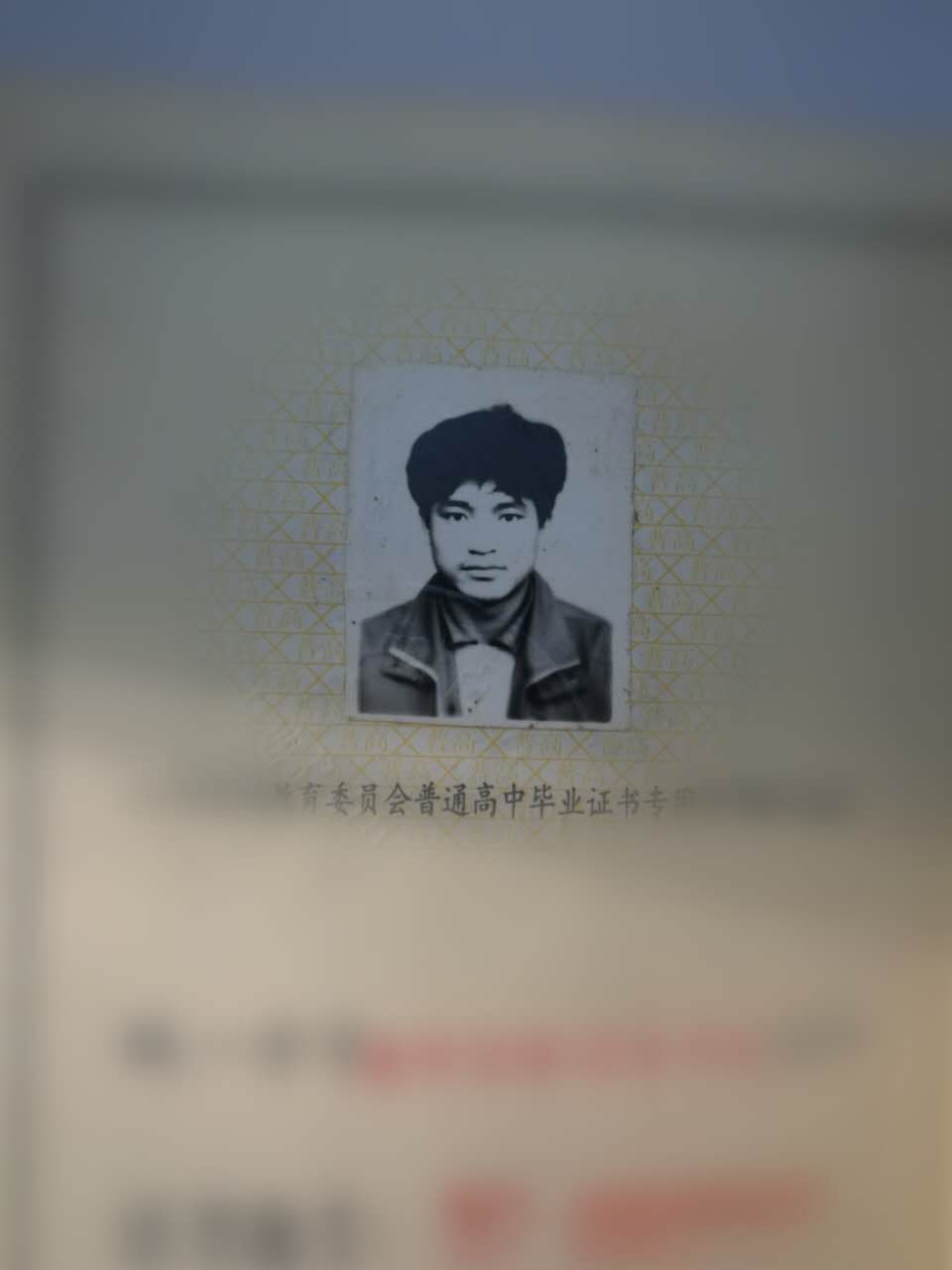 高中毕业证上的留学专家菊叔