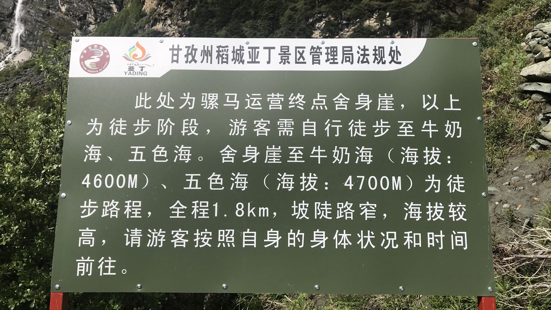舍身崖