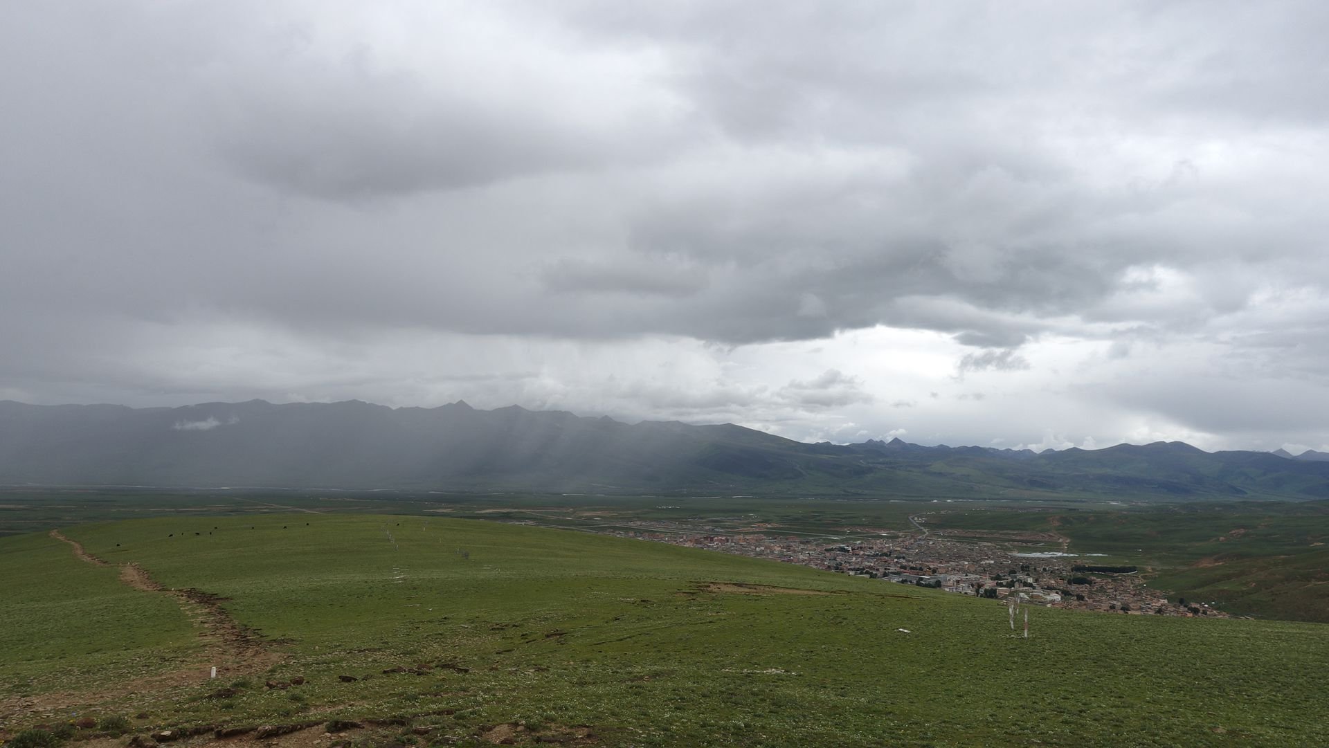 理塘寺独自看雨