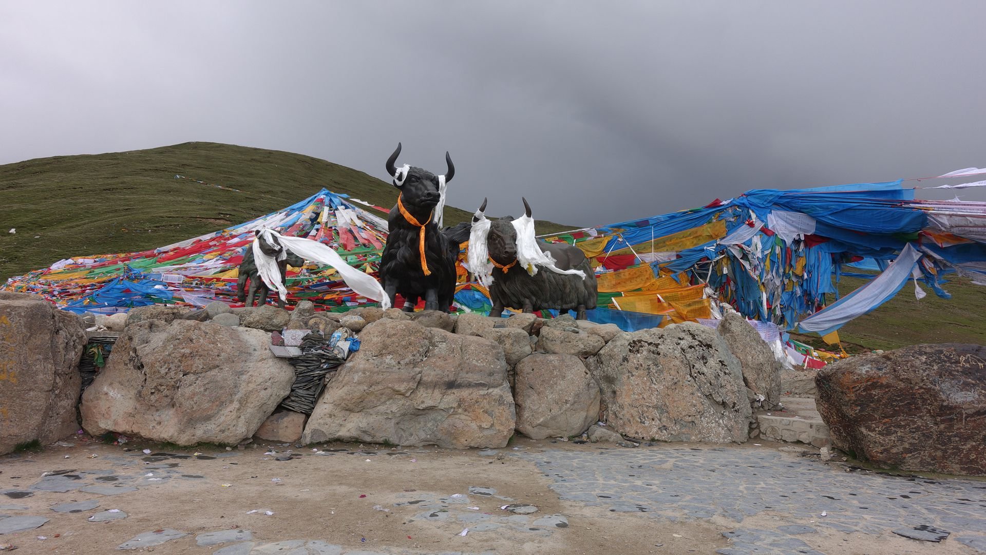 6月29日下午5:15到米拉山口