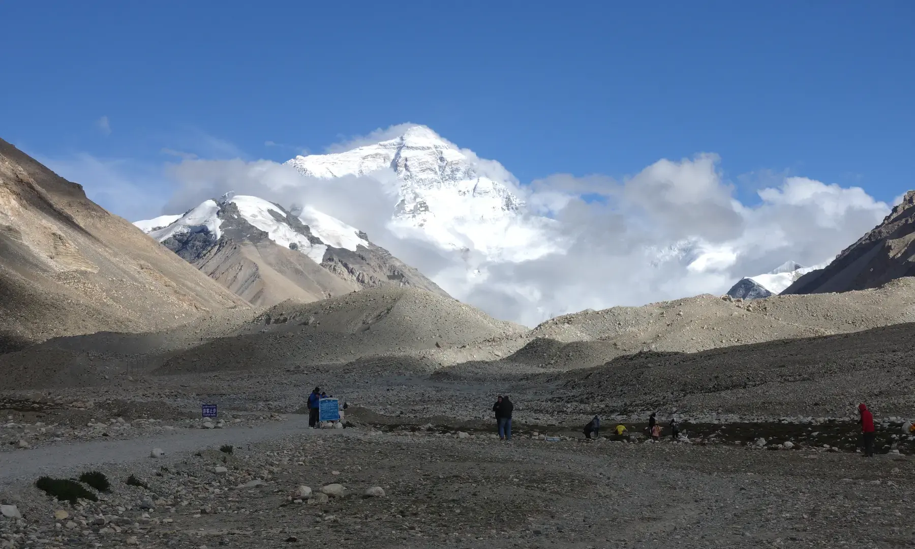 珠峰峰尖-留学专家菊叔