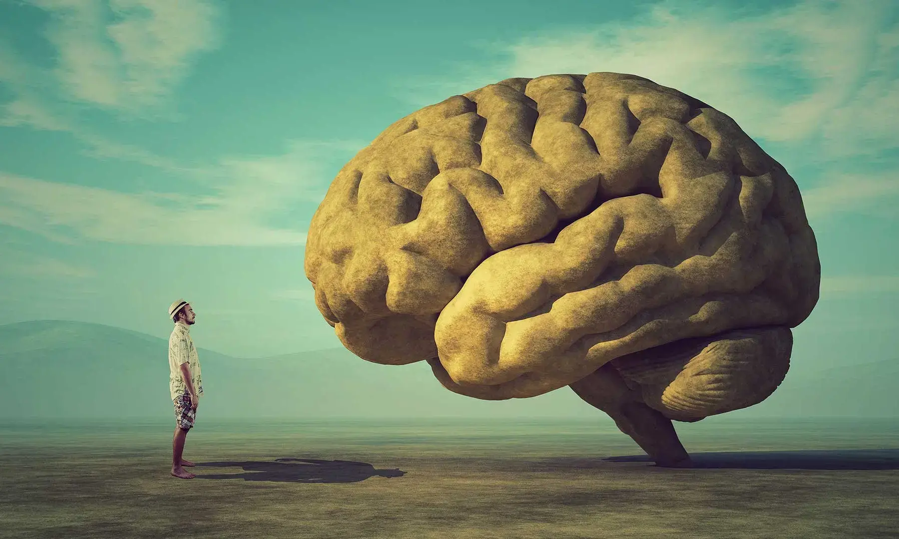 脑科学与抑郁症双相情感障碍