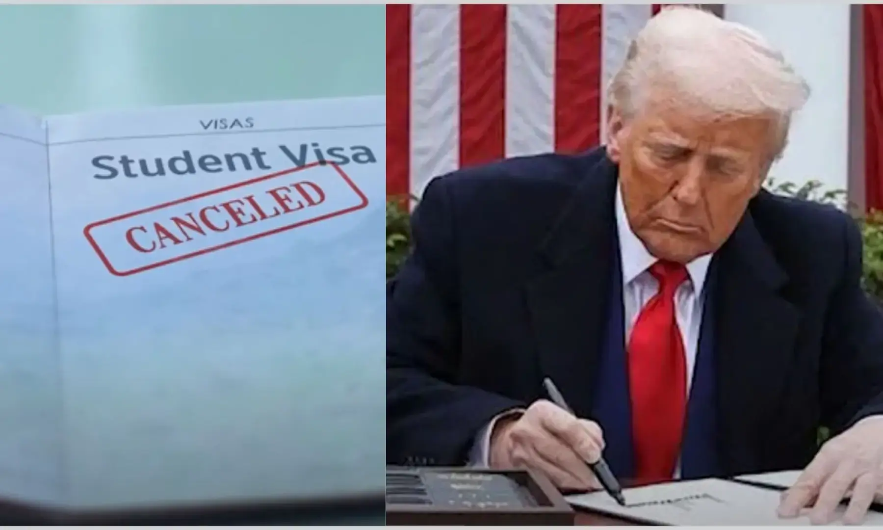 川普取消学生签证