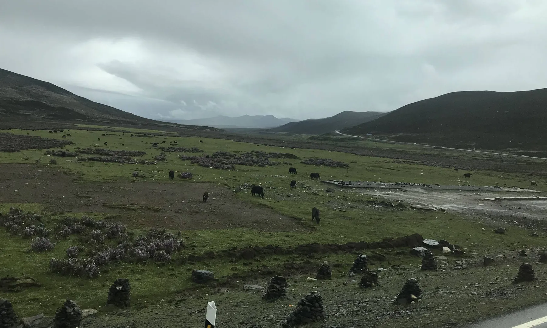 路边的石塔和牦牛