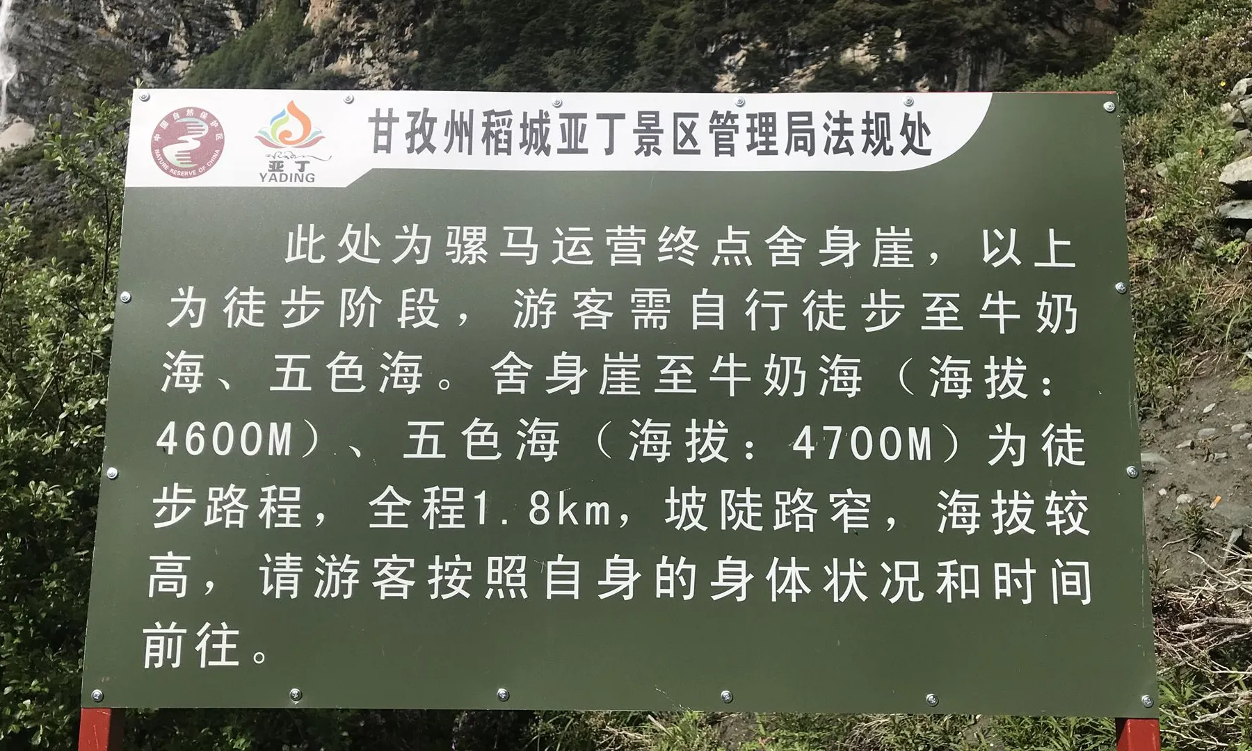 舍身崖