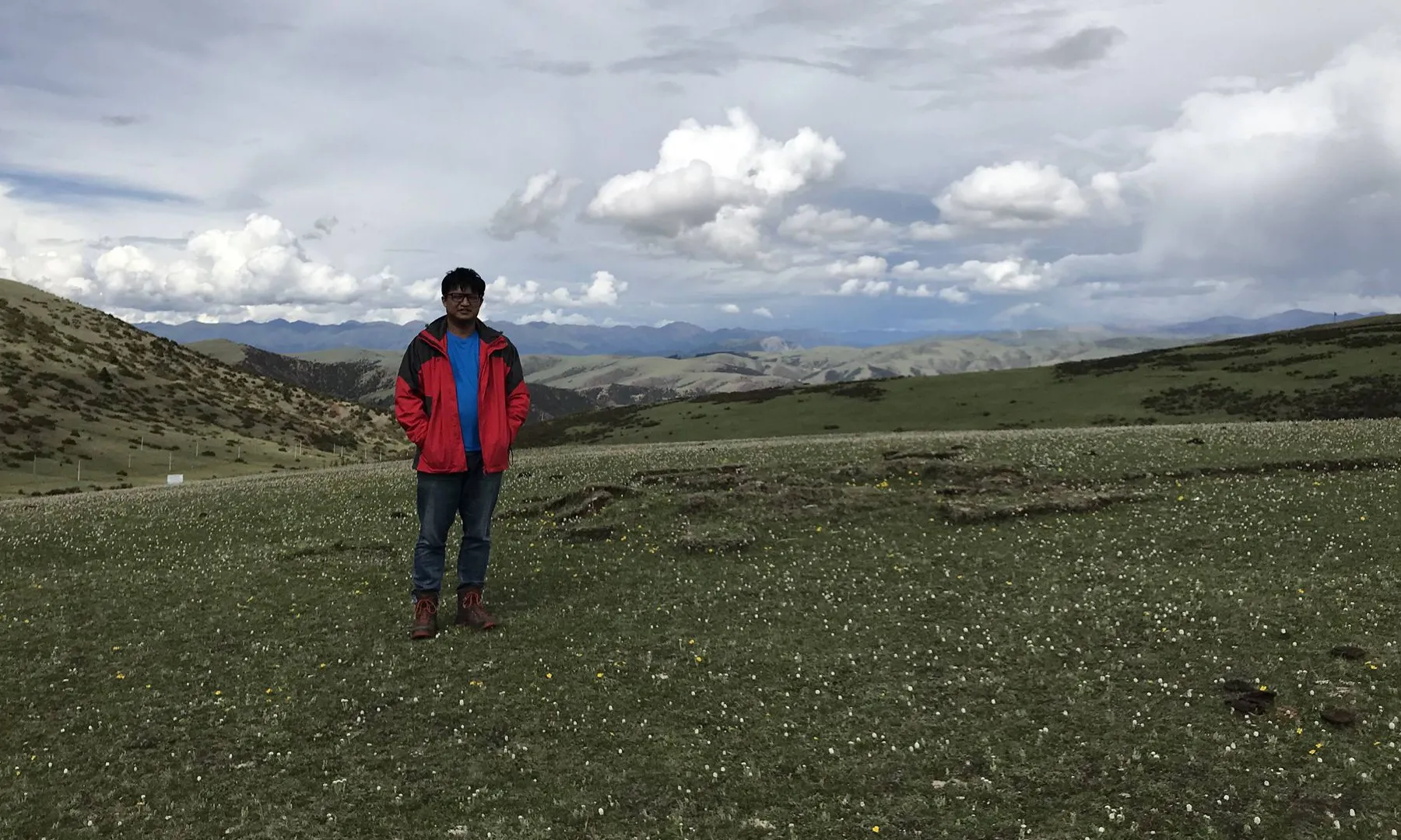 拉乌山垭口的花海