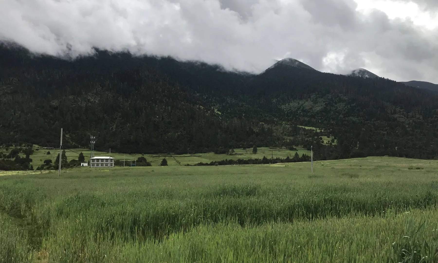 鲁朗小镇-江南水乡