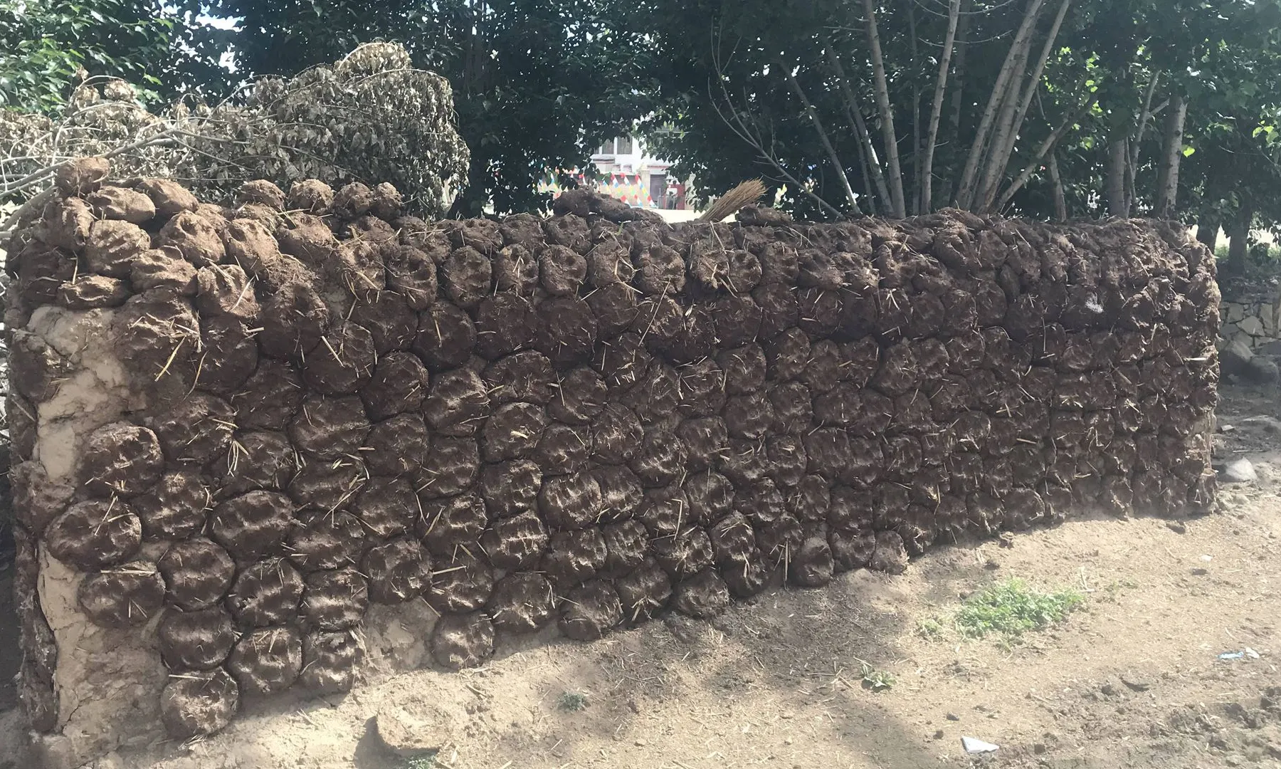 牛粪燃料与围墙