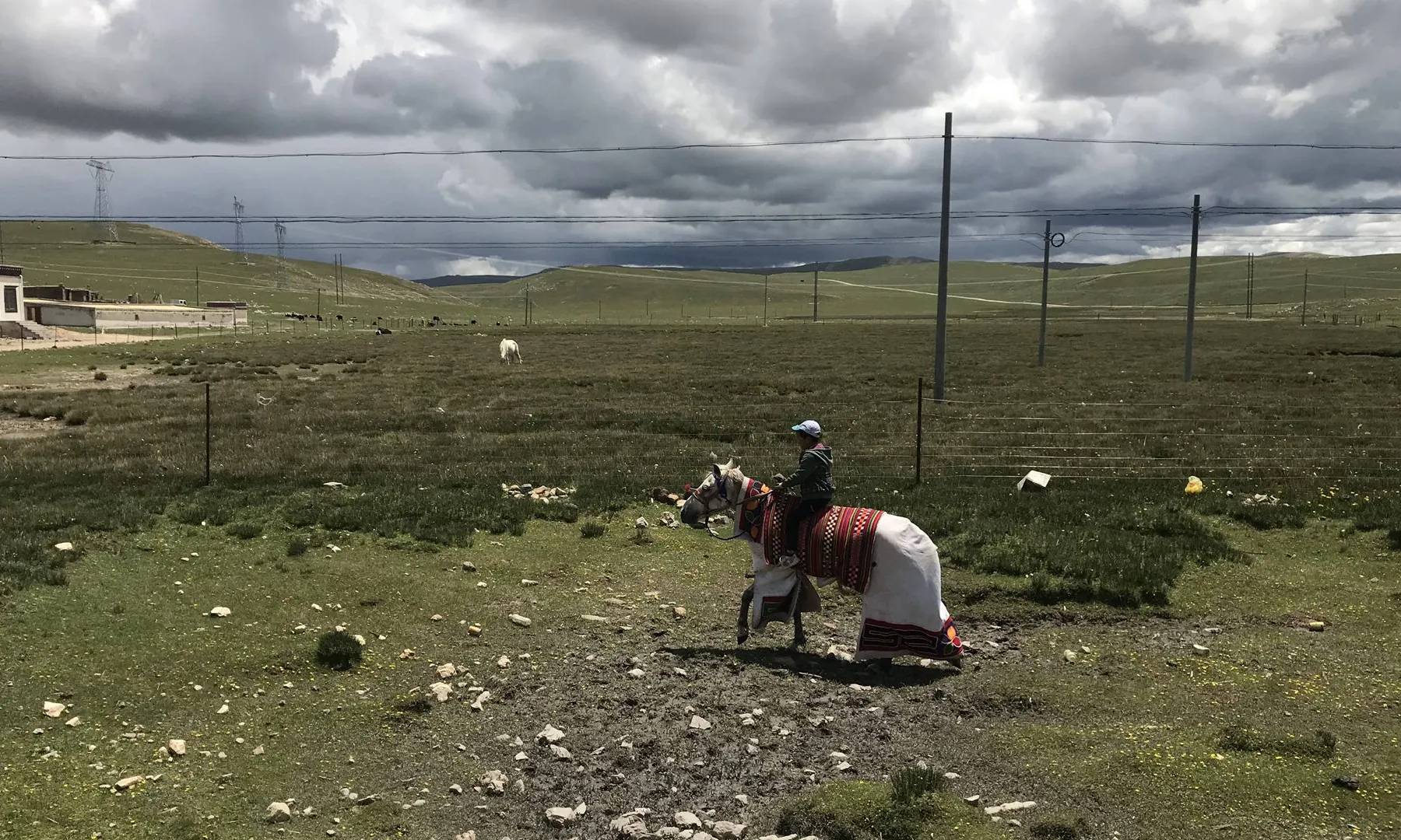 20180707_IMG_3826-那曲骑马的小孩