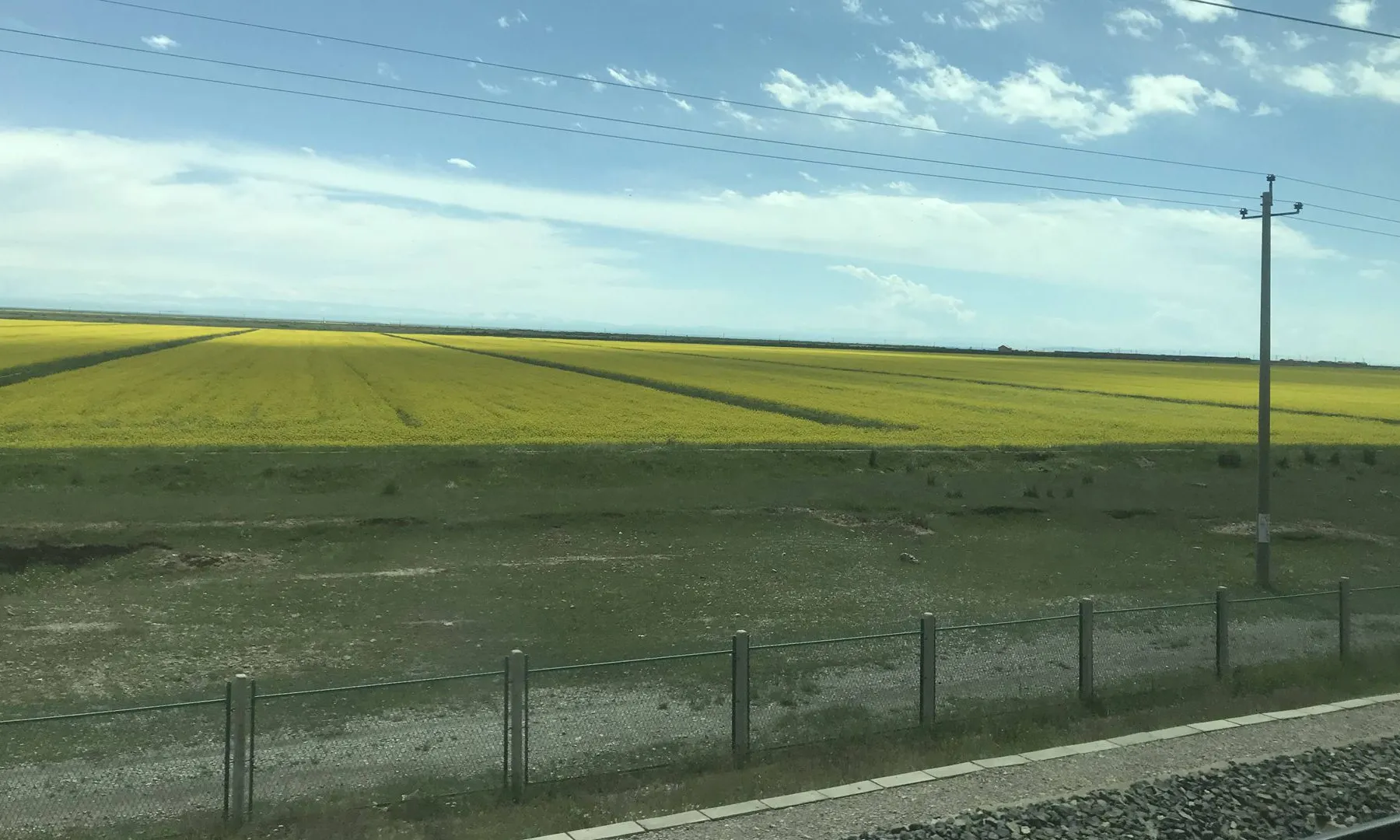 20180709_IMG_3981-高原上的油菜田