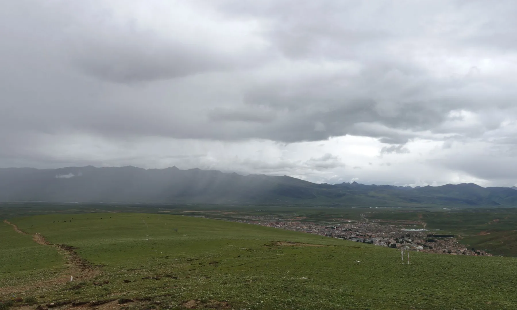 理塘寺独自看雨