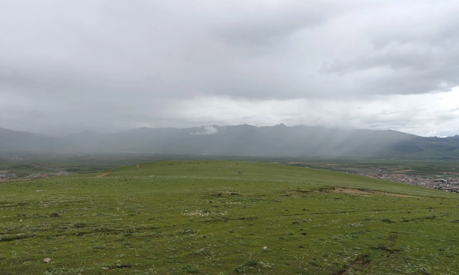 雨帘-牦牛和理塘寺