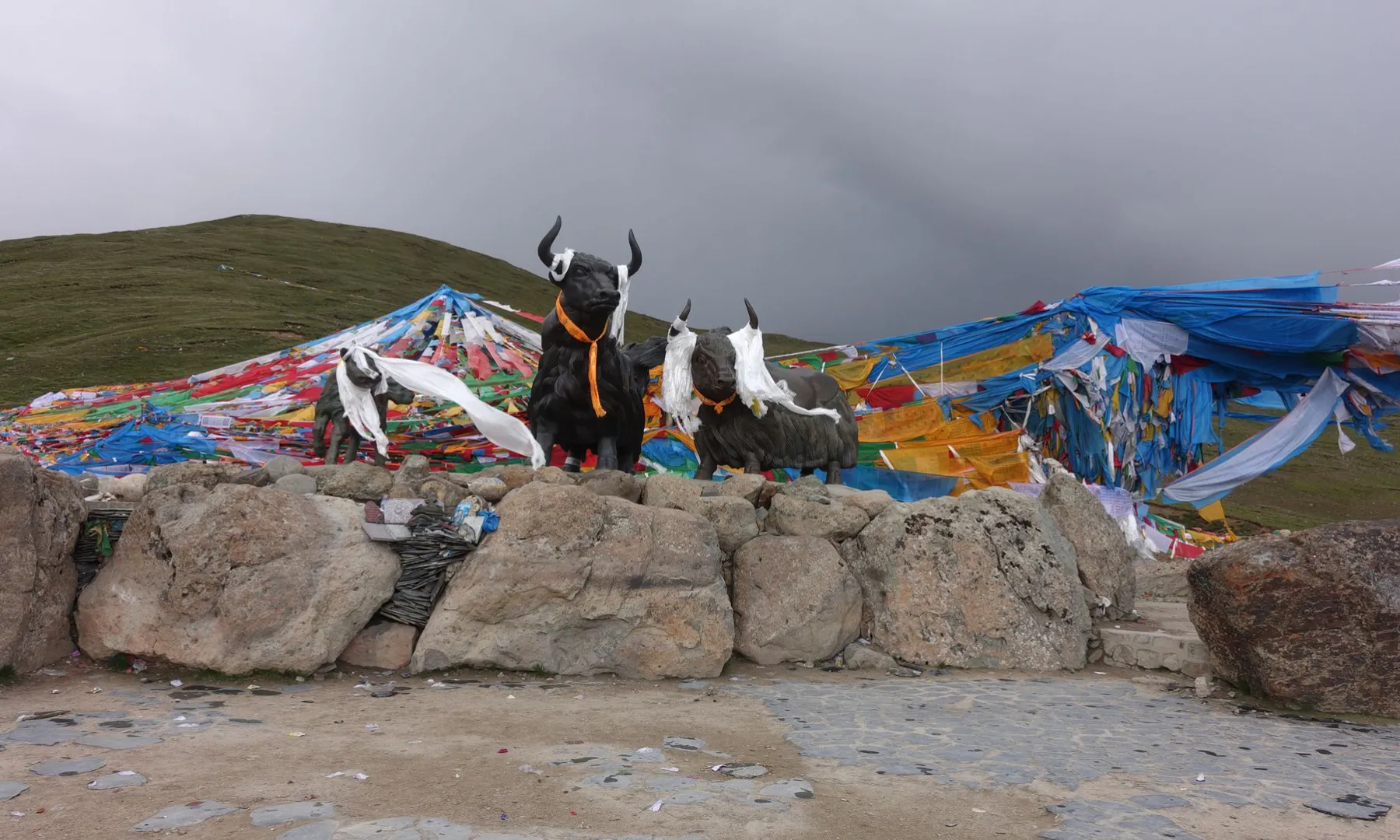 6月29日下午5:15到米拉山口