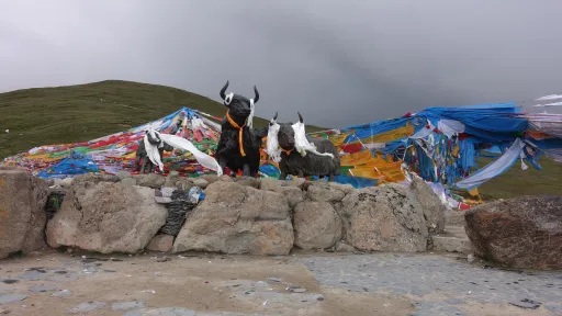 6月29日下午5:15到米拉山口