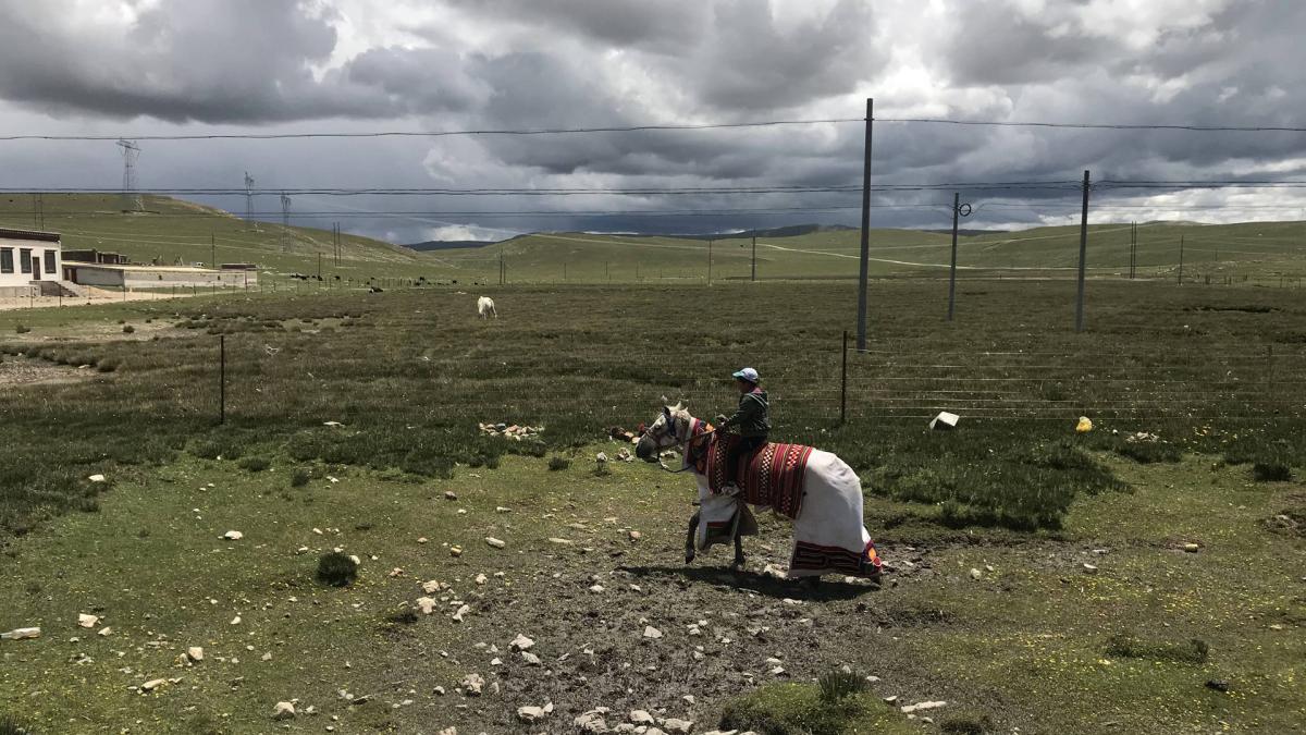 20180707_IMG_3826-那曲骑马的小孩