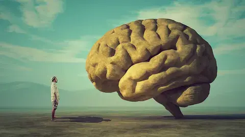 脑科学与抑郁症双相情感障碍