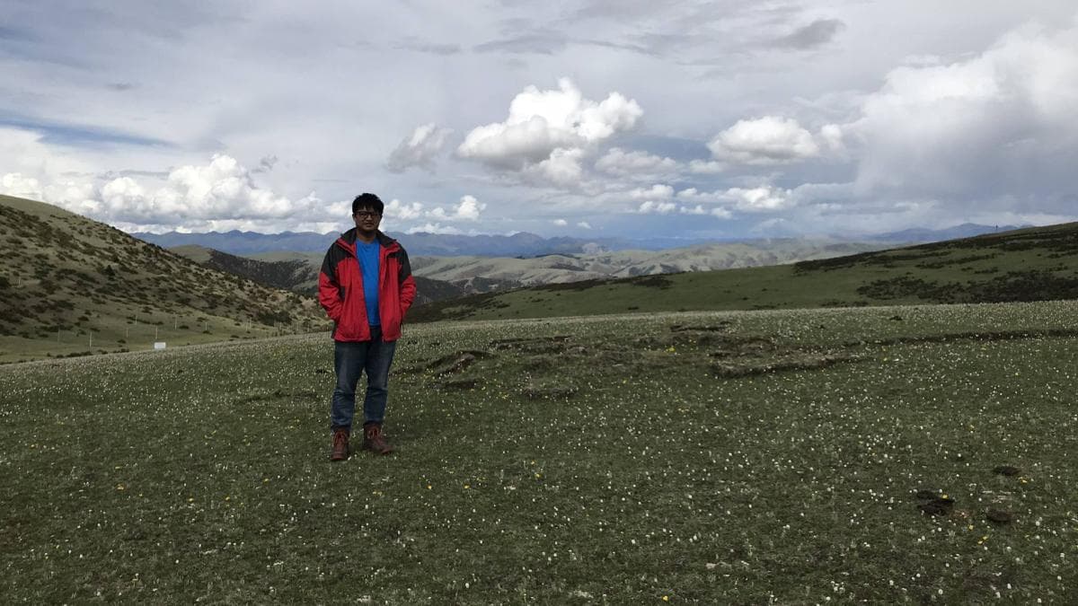 拉乌山垭口的花海