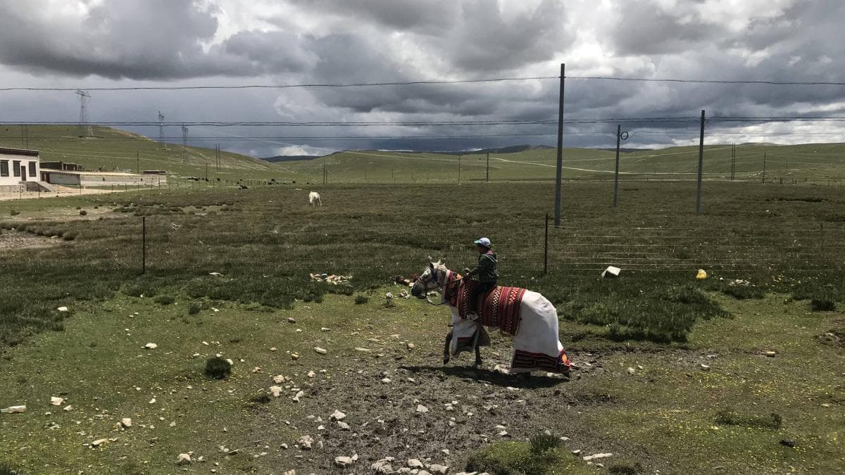 20180707_IMG_3826-那曲骑马的小孩