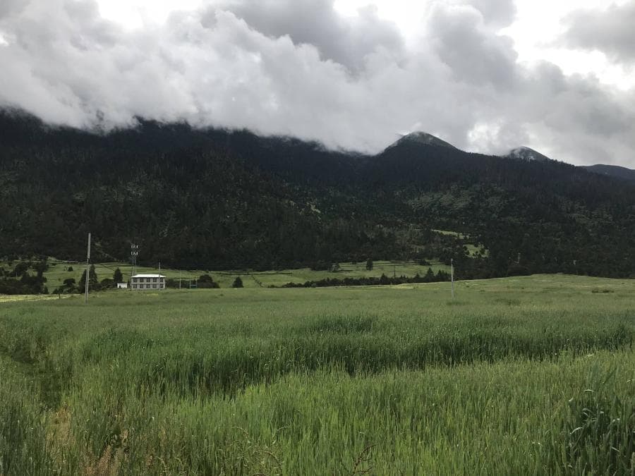 鲁朗小镇-江南水乡