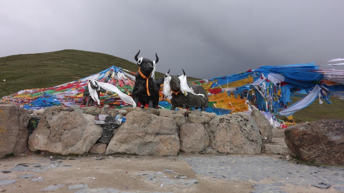 6月29日下午5:15到米拉山口