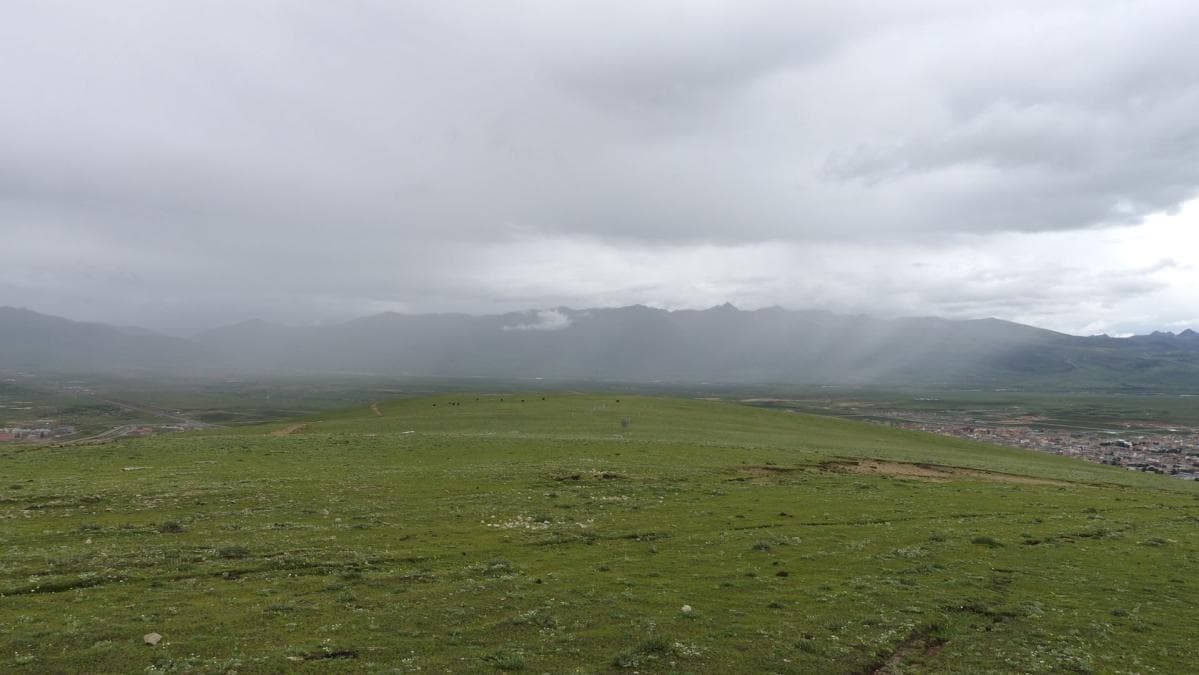 雨帘-牦牛和理塘寺